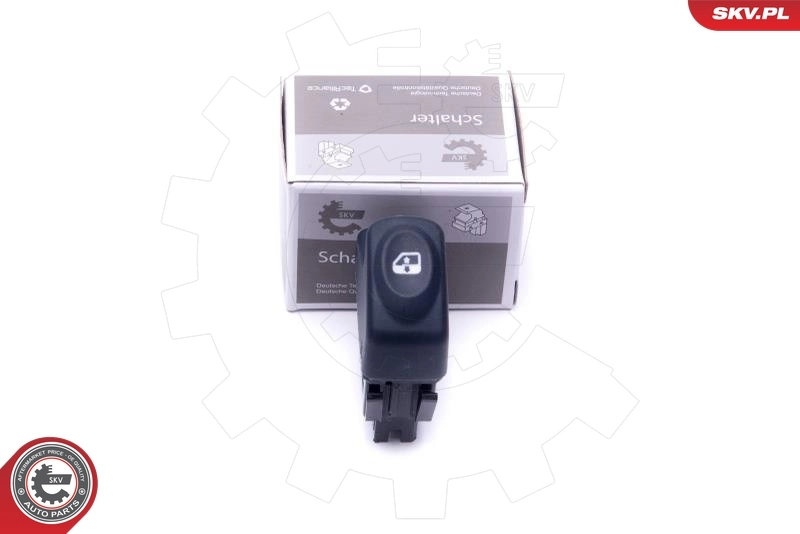 Switch, window regulator
